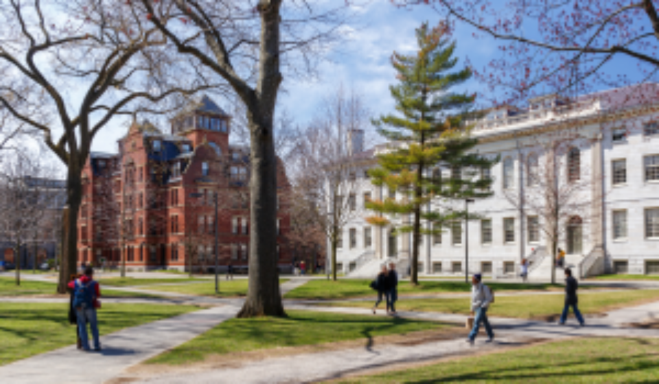 Harvard_campus_300_198_int_c1-1x